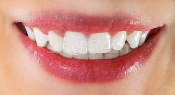 White healthy teeth Stock photo © photocreo