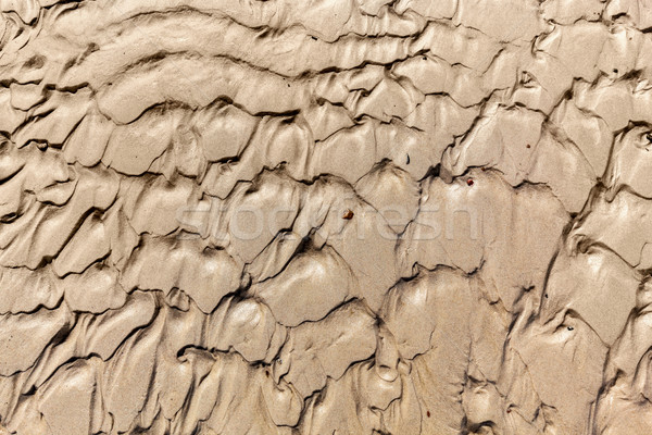 Mud background, dirt, ground pattern.  Stock photo © photocreo