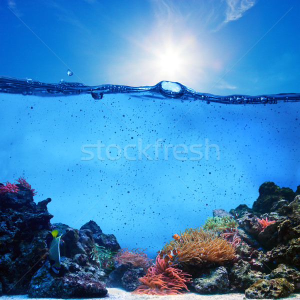 Underwater scene. Coral reef, blue sunny sky and clean water Stock photo © photocreo