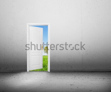 Puerta abierta nuevos mundo verde verano paisaje Foto stock © photocreo