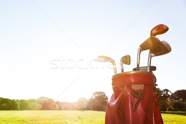 Golf felszerlés profi golfpálya bőr poggyász Stock fotó © photocreo