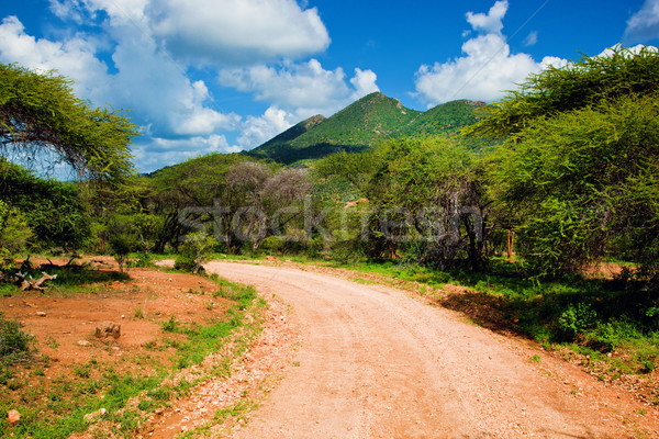 Red ground road and savanna. Tsavo West, Kenya, Africa Stock photo © photocreo