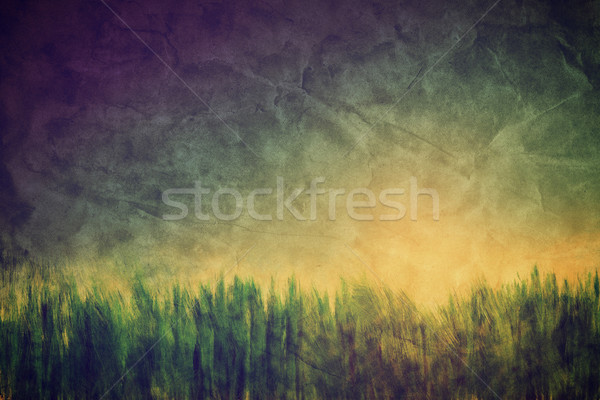 Vintage, retro image of nature landscape. Grunge canvas texture Stock photo © photocreo