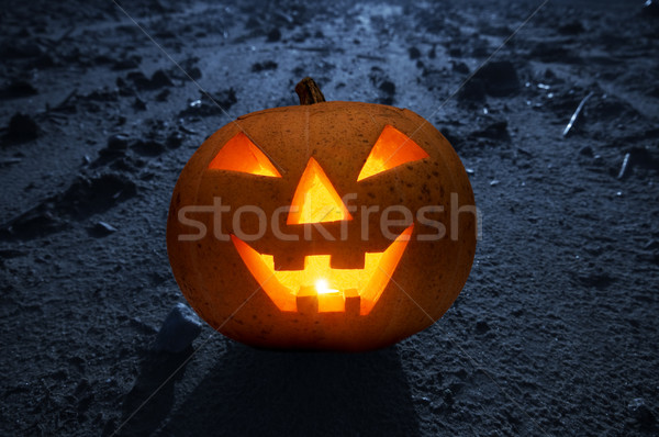 Halloween glowing pumpkin at night Stock photo © photocreo