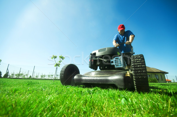 Mowing the lawn Stock photo © photocreo