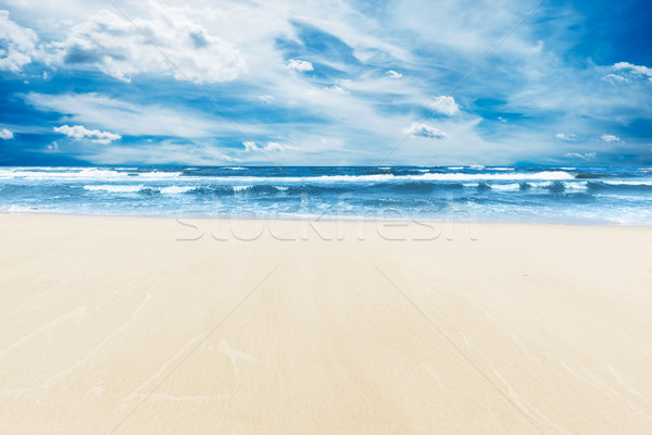 été plage mer ensoleillée ciel bleu espace de copie [[stock_photo]] © photocreo