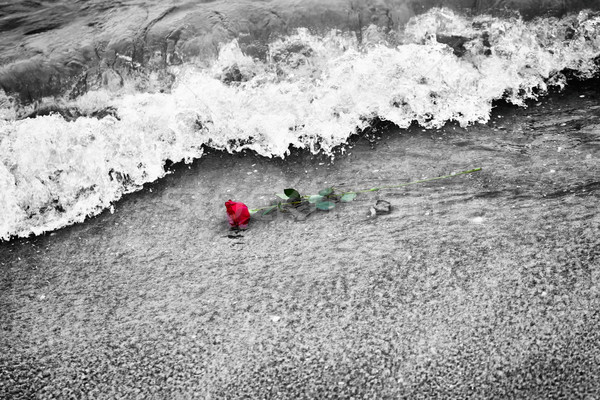 [[stock_photo]]: Vagues · lavage · loin · Rose · Red · plage · couleur