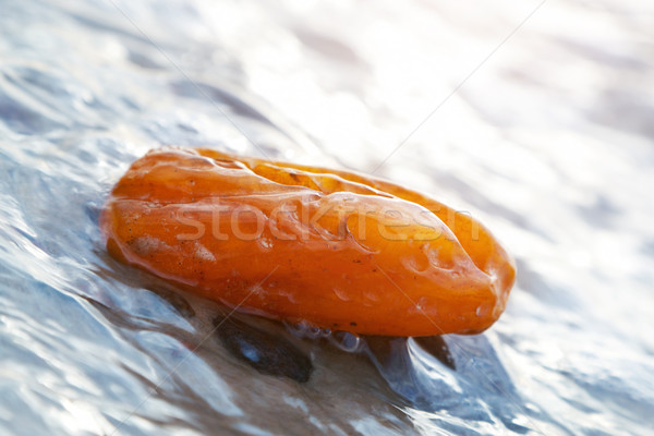 Amber stone in waves. Precious gem, treasure. Baltic Sea Stock photo © photocreo