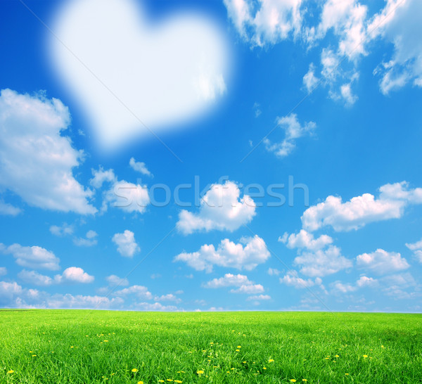 Liebe Natur groß weiß symbolische Herz Stock foto © photocreo