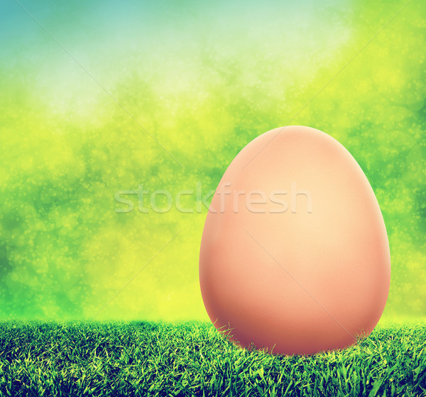 Unpainted Easter egg on spring grass Stock photo © photocreo