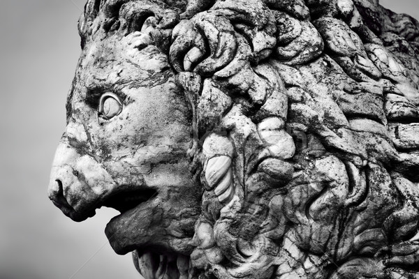 Ancient sculpture of The Medici Lion. Florence, Italy Stock photo © photocreo