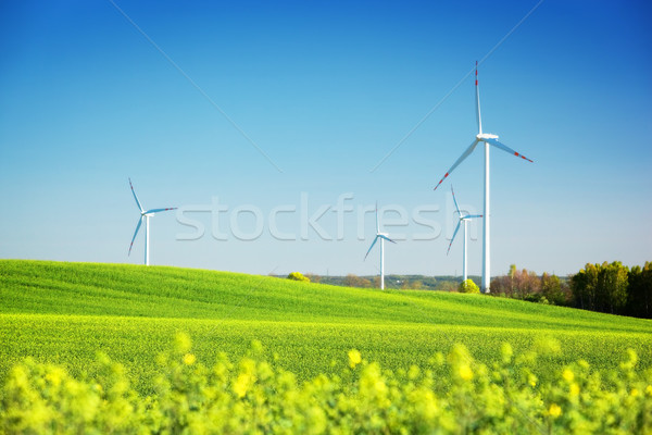Wind turbines on spring field. Alternative, clean and natural energy Stock photo © photocreo