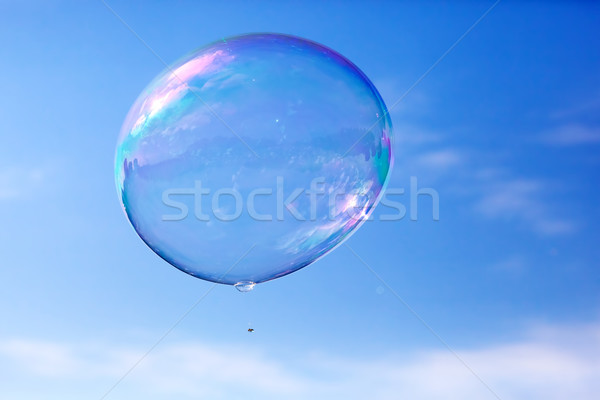 один чистой мыльный пузырь Flying воздуха Blue Sky Сток-фото © photocreo