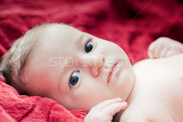 Cute miesiąc baby bed patrząc kamery Zdjęcia stock © photocreo