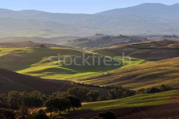 Tuscany landscape at sunrise. Tuscan farm house, vineyard, green hills. Stock photo © photocreo