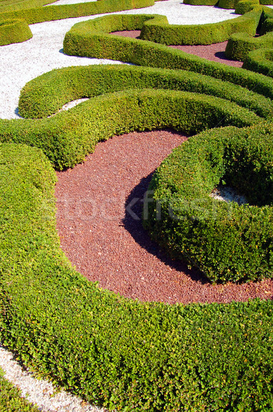 Garden design Stock photo © photocreo