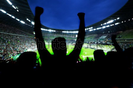 Szurkolók ünnepel gól sziluettek futball futball Stock fotó © photocreo