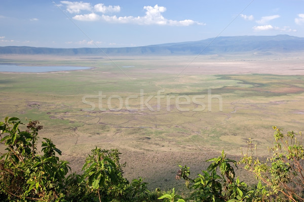 Ngorongoro crater in Tanzania, Africa. Panorama Stock photo © photocreo