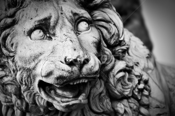 Ancient sculpture of The Medici Lion. Florence, Italy Stock photo © photocreo