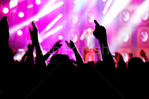 Ludzi muzyki koncertu disco strony Zdjęcia stock © photocreo