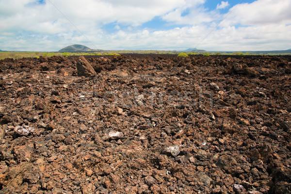 Basalt Felsen Westen Kenia Afrika Oberfläche Stock foto © photocreo