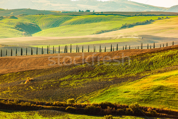 Tuscany fields autumn landscape, Italy. Harvest season Stock photo © photocreo