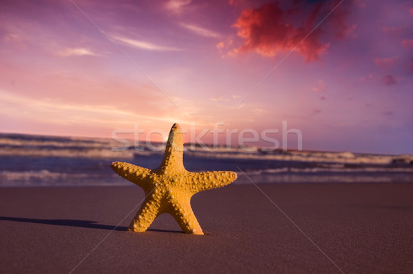 Stok fotoğraf: Denizyıldızı · plaj · gün · batımı · yaz · seyahat · tatil