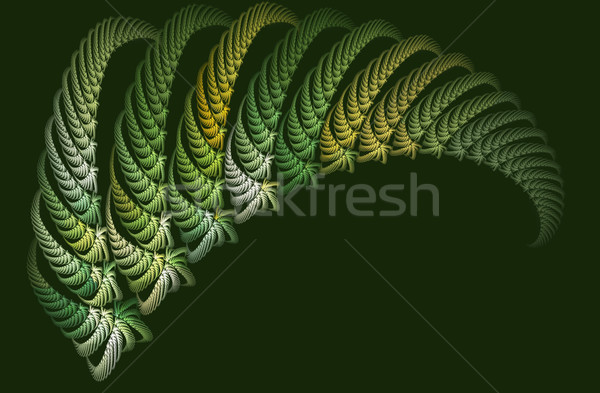 Fractal feto folha Foto stock © photohome