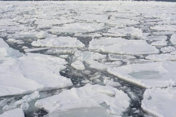 Drift ice in Abashini, Japan Stock photo © photohome