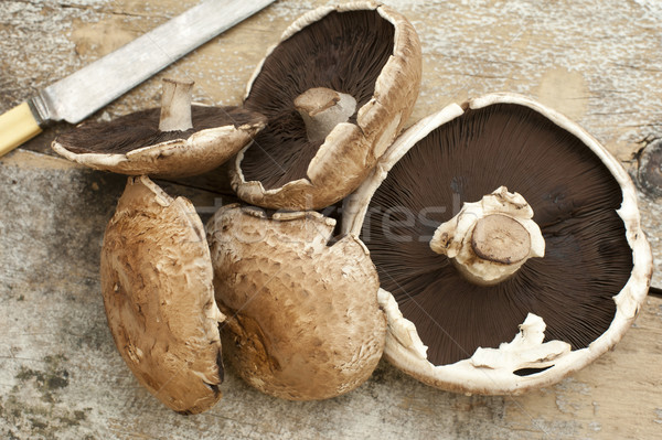 Group of five portobello mushroom caps with knife Stock photo © photohome