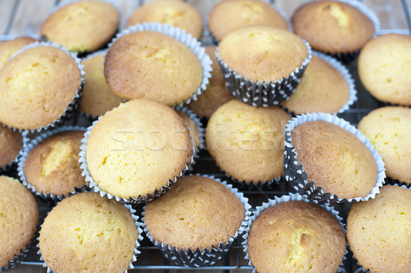 Freshly Baked Cupcakes Stock photo © photohome