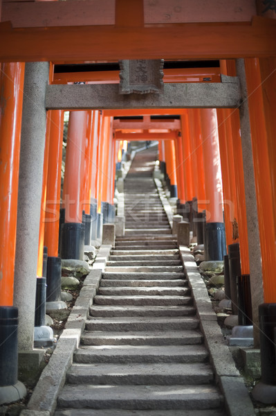 Torii gates at the Fushimi Inari-taisha Stock photo © photohome