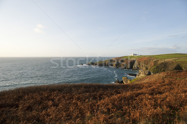 Jaszczurka punkt cornwall historyczny latarni wielka brytania Zdjęcia stock © photohome