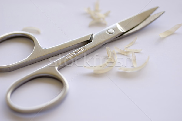 toenail scissors Stock photo © photohome