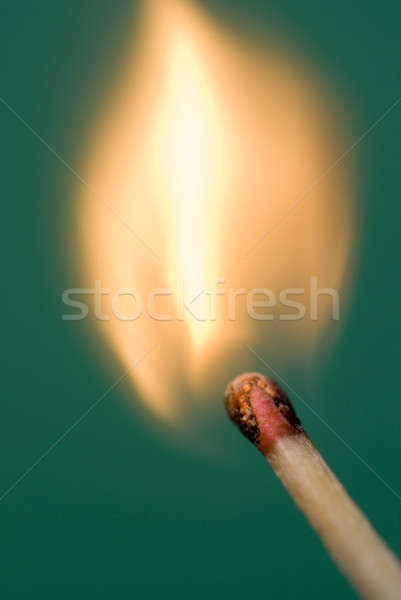 Streik Licht Flammen Holz grünen Kopf Stock foto © photohome
