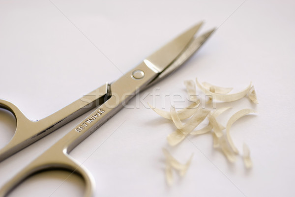 nail scissors Stock photo © photohome