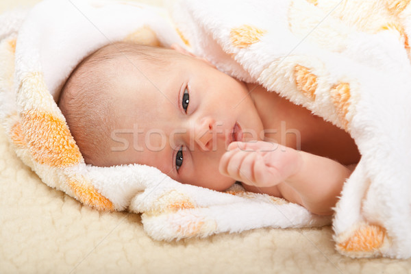 Baby lying on soft cover. Stock photo © Photoline