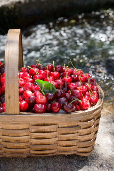 Stock photo: Cherries from Valle del Jerte in Spain.