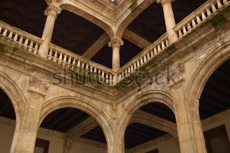 Aisle inside in New Cathedral of Salamanca, Spain Stock photo © Photooiasson