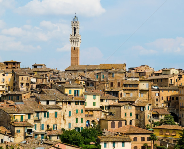 Antique houses and Mangia tower. Siena, Italy Stock photo © Photooiasson