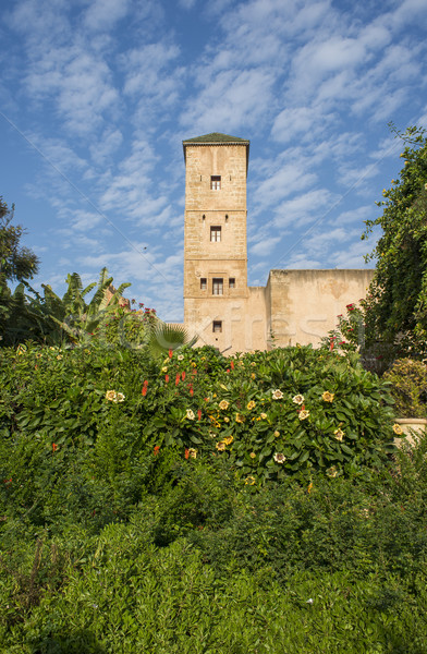 Andalusian gardens in Udayas kasbah. Rabat. Morocco. Stock photo © Photooiasson