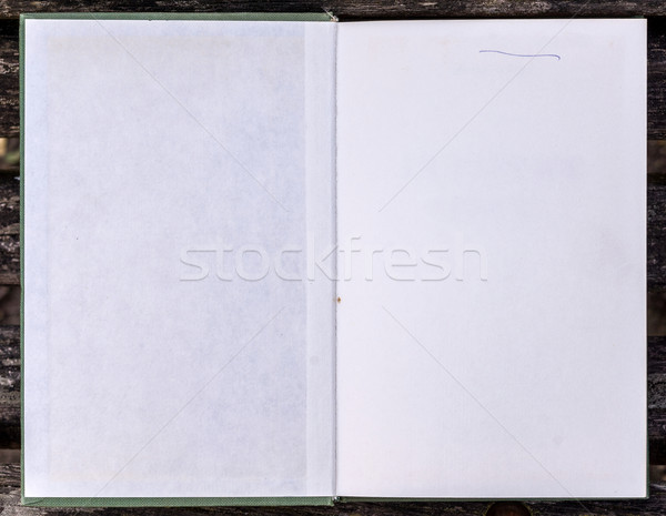 Buch geöffnet erste Seite altes Buch Stock foto © Photooiasson