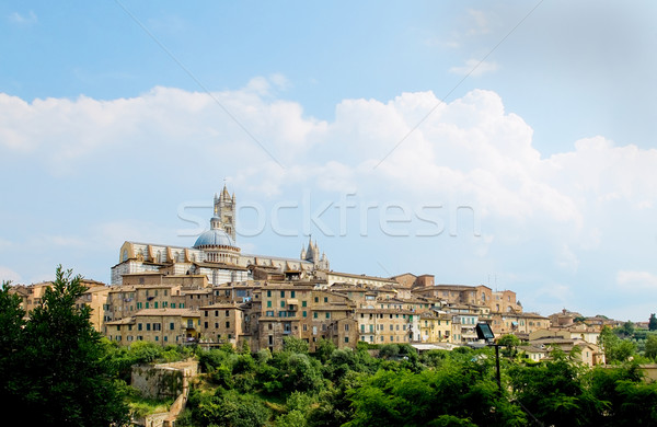 Siena view with the Duomo. Siena, Italy Stock photo © Photooiasson