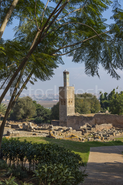 Ruins of Chellah necropolis. Rabat. Morocco. Stock photo © Photooiasson