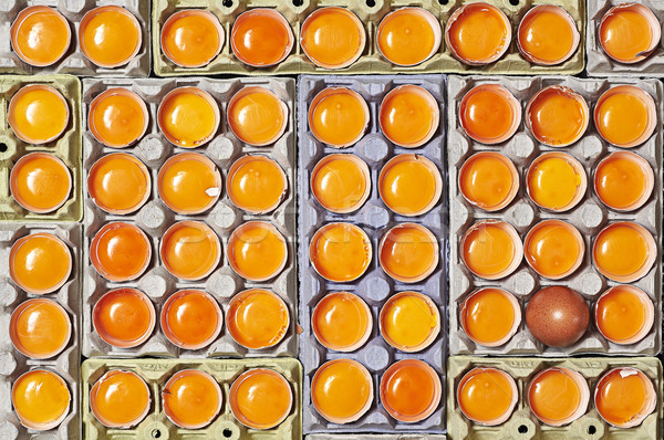 Stockfoto: Eieren · uniek · een · ei · oranje · voedsel