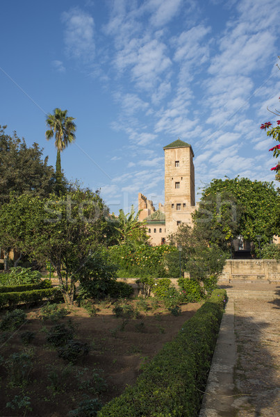 Andalusian gardens in Udayas kasbah. Rabat. Morocco. Stock photo © Photooiasson