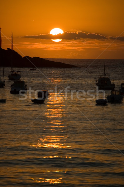 san sebastian - Concha bay Stock photo © Photooiasson