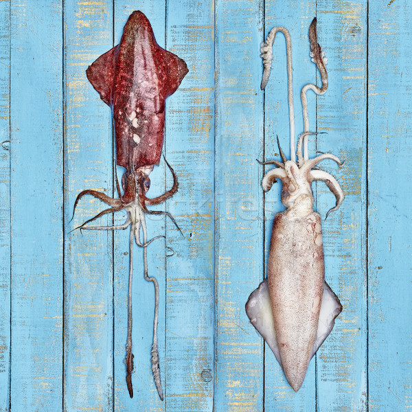 Two raw fresh squids on a wooden board. Stock photo © Photooiasson