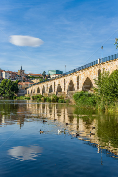 Stone bridge over Duero river. Zamora, Castilla y Leon, Spain. Stock photo © Photooiasson