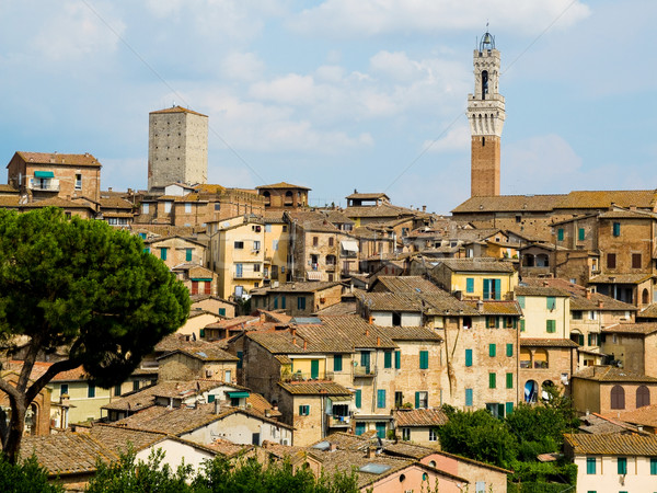 Antique houses and Mangia tower. Siena, Italy Stock photo © Photooiasson